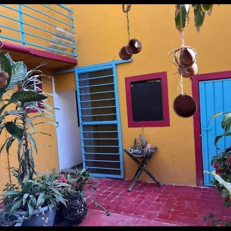 Casa Grey Hotel Oaxaca Exterior photo